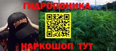 ПСИЛОЦИБИНОВЫЕ ГРИБЫ Донской