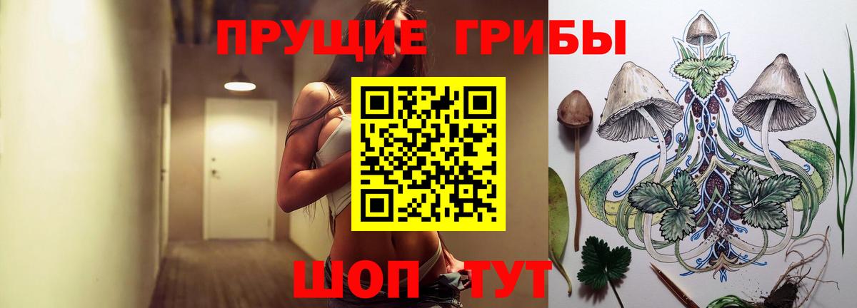 Псилоцибиновые грибы GOLDEN TEACHER Минусинск